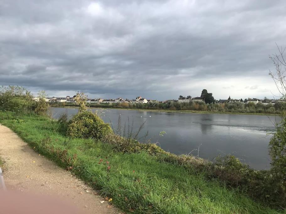 Nid Douillet Bord De Loire * Blois